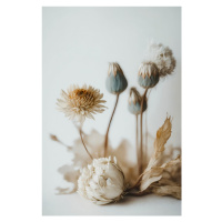 Fotografie Dry Flower Impression, Treechild, 26.7 × 40 cm