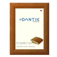 DANTIK rámeček 21 × 29,7, LEDVINKA světle hnědý sklo čiré