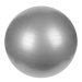 Athletic24 Gymnastický míč PLATINIUM Classic 65 stříbrný