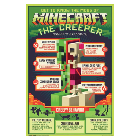 Plakát, Obraz - Minecraft - Creepy Behaviour, (61 x 91.5 cm) GB Eye