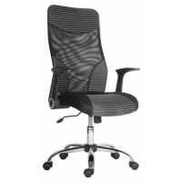 Antares Kancelářská židle Wonder Large Modrý pruh