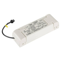 BIG WHITE (SLV) Můstkový LED driver 12 W, 200 mA pro NUMINOS, včetně radiofrekvenčního rozhraní 
