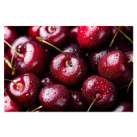 Fotografie Fresh ripe black cherries background Top, Anna Pustynnikova, 40 × 26.7 cm