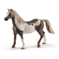 Zvířátko - Valach plemene Paint Horse