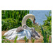 Fotografie Close-up image of Mute swans -, Jacky Parker Photography, 40 × 26.7 cm