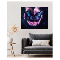 Obrazy na stěnu - Motýl v dlaních Rozměr: 80x100 cm, Rámování: bez rámu a bez vypnutí plátna