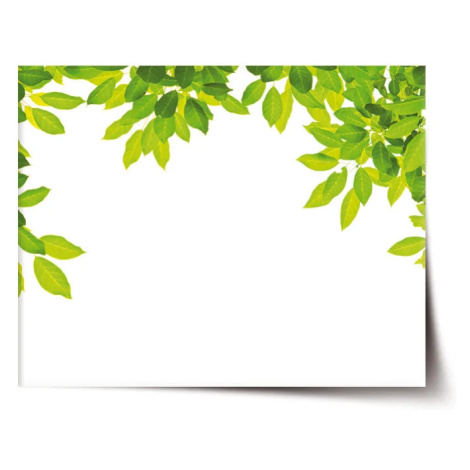 Plakát Listy - 120x80 cm