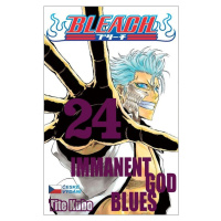 Bleach 24