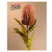 Banksia řezaná umělá růžová 65cm