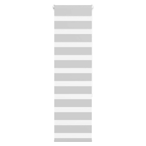 vidaXL Zebra roleta světle šedá 45x150 cm šířka látky 40,9cm polyester