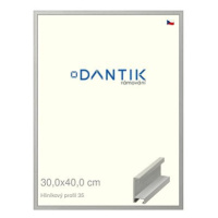 DANTIK rámeček 30 × 40, ALU profil 6035 Dýha barevný šedý plexi čiré