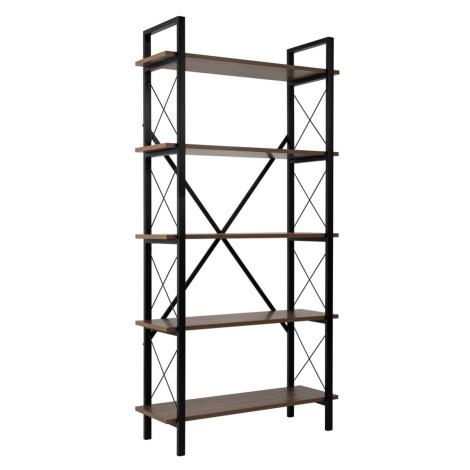 Regál Elysian Walnut and Black Hanah Home