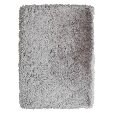 Světle šedý koberec Think Rugs Polar, 120 x 170 cm