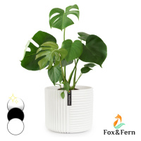 Fox & Fern Květináč Hasselt z polystonu, ručně vyrobený, vhodný pro rostliny ve 3D vzhledu.
