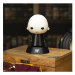 Harry Potter Icon Light - Voldemort - EPEE