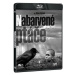 Nabarvené ptáče (2 disky) - Blu-ray