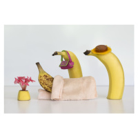 Fotografie Sick Banana, Jacqueline Hammer, 40 × 26.7 cm