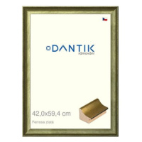 DANTIK rámeček 42 × 59,4, Ferrosa zlatý plexi čiré