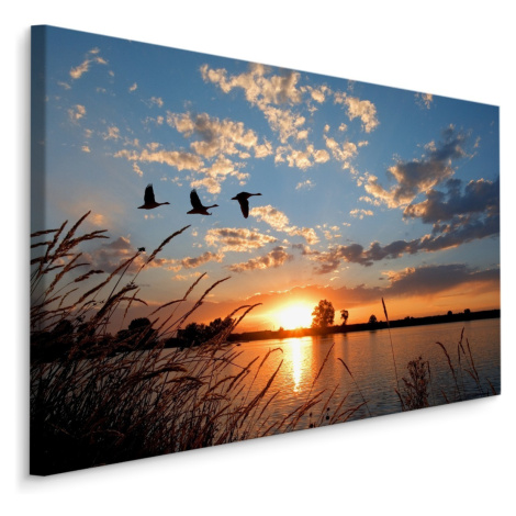 Plátno Ptáci Při Západu Slunce Varianta: 90x60