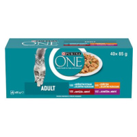 Purina ONE Adult minifiletky s jehněčím, mořskými rybami, kuřetem, hovězím a zeleninou ve šťávě 