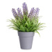 IBERGARDEN Umělá lavendule v šedém květináči, fialová, 21 cm