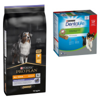 PURINA PRO PLAN granule + Dentalife snacky zdarma - All Size Adult Performance (14 kg) + 24 tyči