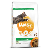 IAMS Cat Adult Lamb 10kg