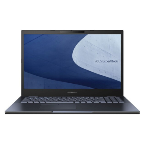 Asus ExpertBook L2 L2502CYA-BQ0072 Černá