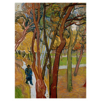 Obrazová reprodukce The Garden of Saint Paul - Vincent van Gogh, (30 x 40 cm)