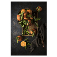 Umělecká fotografie Oranges, Diana Popescu, (26.7 x 40 cm)