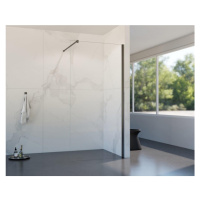 HOPA Walk-in sprchový kout LAGOS NEW Barva rámu Grafit, Rozměr A 80 cm BCLAGO80GCN