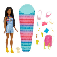 Barbie Dreamhouse Adventures Kempující panenka Brooklyn