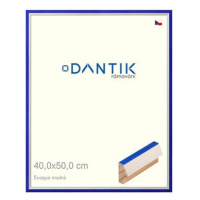 DANTIK rámeček 40 × 50, EVOQUE modrý plexi čiré