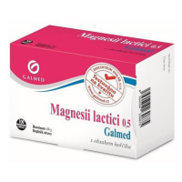 Magnesii lactici 0.5g 100 tablet Galmed