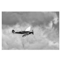 Fotografie The Silver Spitfire, Leif Londal, 40 × 26.7 cm