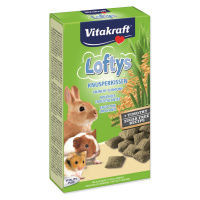 Vitakraft Loftys 100 g