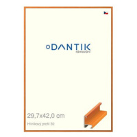 DANTIK rámeček 29,7 × 42, ALU profil 6030 Dýha barevný oranžový plexi čiré