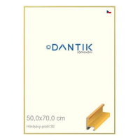 DANTIK rámeček 50 × 70, ALU profil 6030 Dýha barevný žlutý plexi čiré