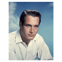 Umělecká fotografie Paul Newman, (30 x 40 cm)