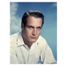 Umělecká fotografie Paul Newman, (30 x 40 cm)