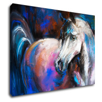 Impresi Obraz Barevný kůň - 70 x 50 cm