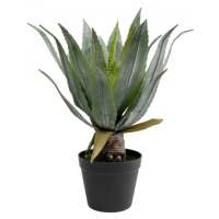 KARE Design Dekorativní rostlina Agave 40cm