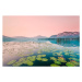 Fotografie Austria, Lake Mondsee, Water Lilies in the morning, Westend61, 40 × 26.7 cm