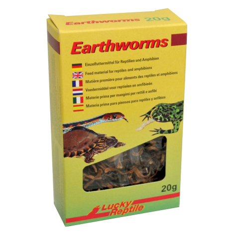 Lucky Reptile Earthworms 10g