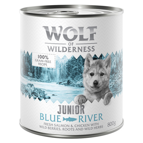 Wolf of Wilderness konzervy, 24 x 800 g za skvělou cenu - JUNIOR: Blue River - kuřecí a losos