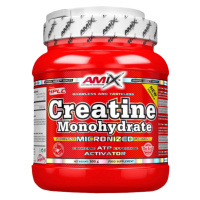 Amix Nutrition Creatine Monohydrate - 500g