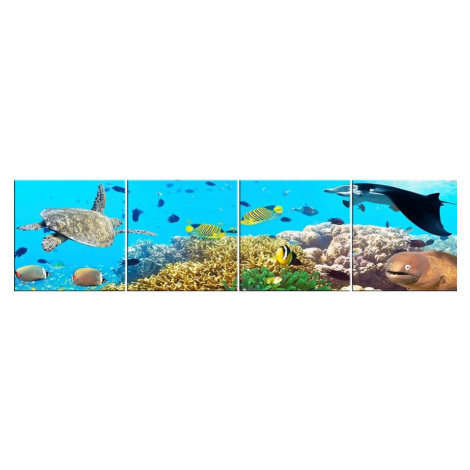 Skleněný panel 60/240 Aquarium-2 4-Elem BAUMAX