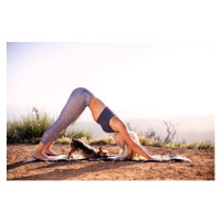 Fotografie Young woman doing yoga with dog, Cavan Images, 40 × 26.7 cm