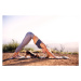 Fotografie Young woman doing yoga with dog, Cavan Images, 40 × 26.7 cm