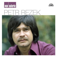 Rezek Petr: Pop galerie - CD